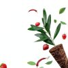 Maromalife Root Growth Sponges 50 Pack Seed Pods for AeroGarden-1