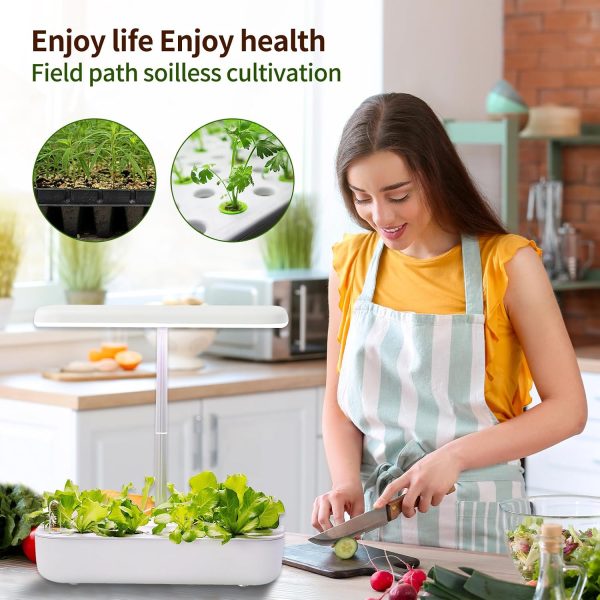 Grow Sponges 60 Pack Lifecoasis Lightweight Brown Hydroponic Seed Pods-6