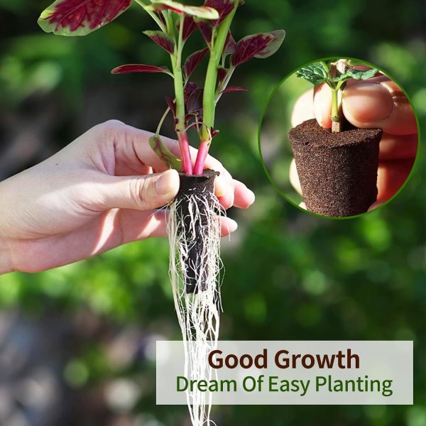 Grow Sponges 60 Pack Lifecoasis Lightweight Brown Hydroponic Seed Pods-5